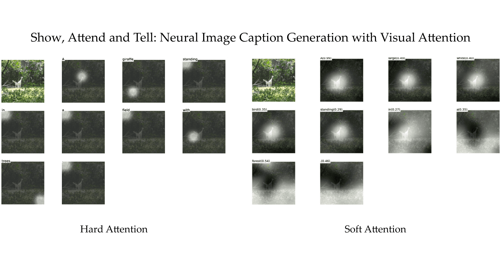 Hard, Soft and Doubly Stochastic Attention